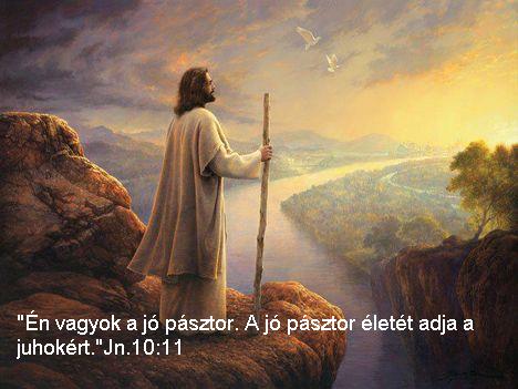 en_vagyok_a_jo_1526708_5736_n