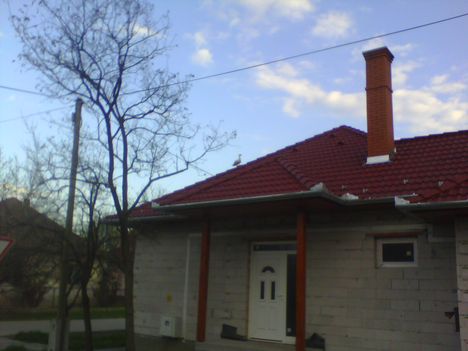 Kacsa a tetőn 2