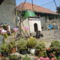 Kaktuszok01