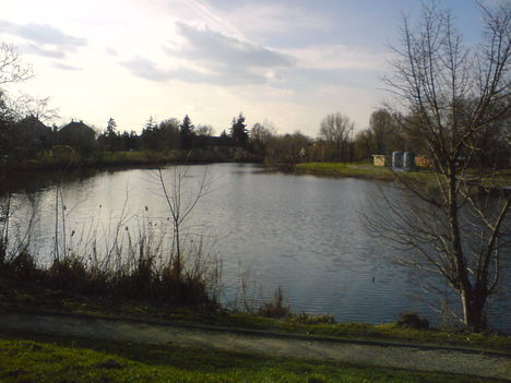 Kurca10