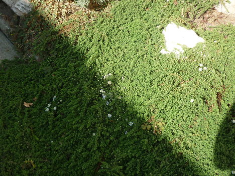 P1110314