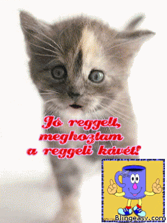 blingeasy_com_jo_reggelt_384138