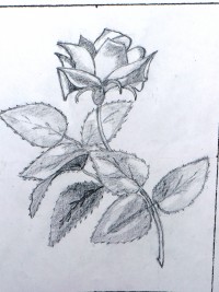 kepatmeretezes_hu_alkotsaim021
