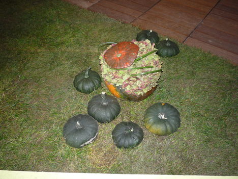 P1100081