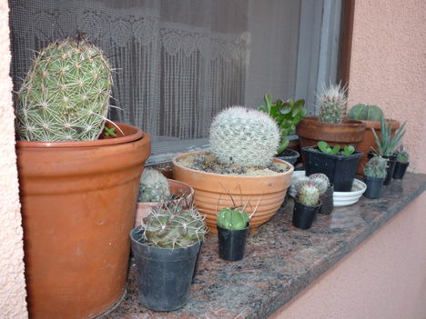 P1100154