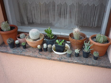 P1100156