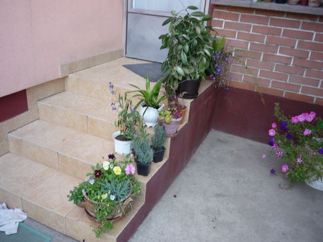 P1100159