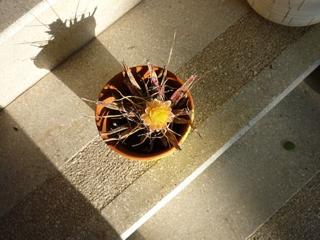 P1100162