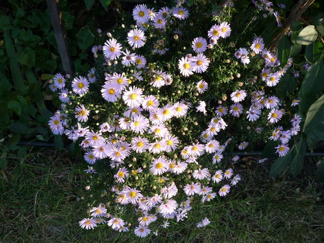 P1100165