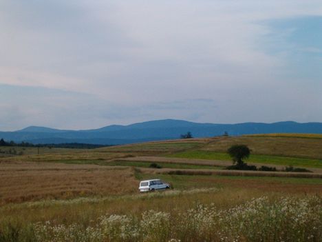Terep-szemle... 3