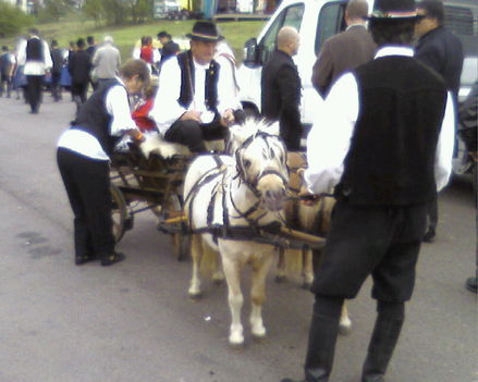 Nagybátony szüreti felvonulás 5