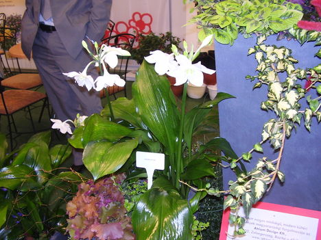 P2170030
