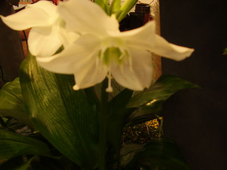 P2170031