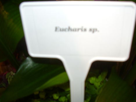 P2170032