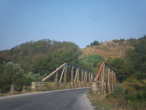 100_8361