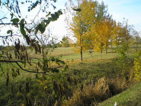 árokparton