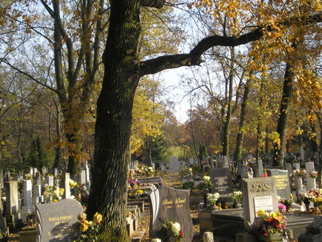 csend és nyugalom