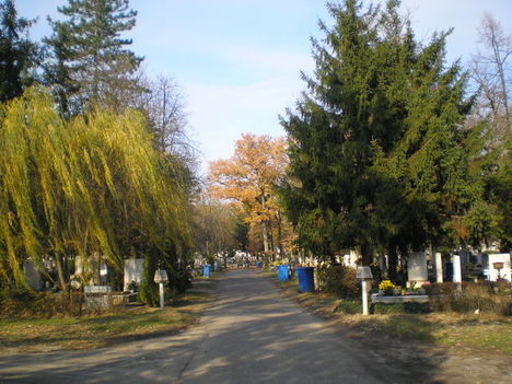 csendes sétány
