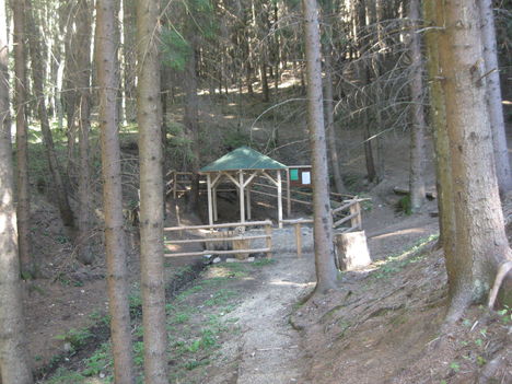 IMG_9954, Güdüc, Hidegkút.