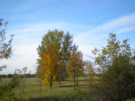 P1010003