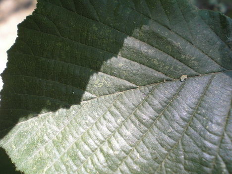 P1010011