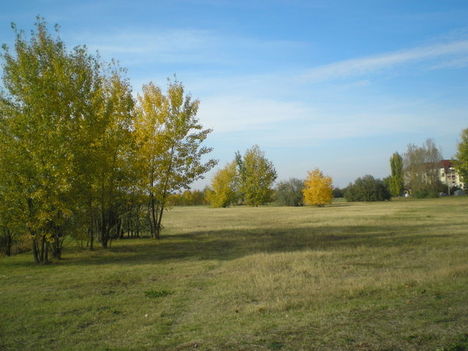 P1010019