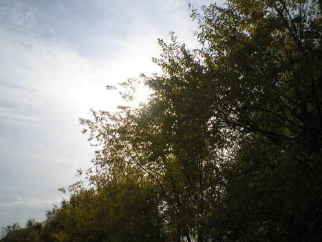 P1010034