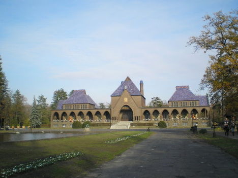 P1010041
