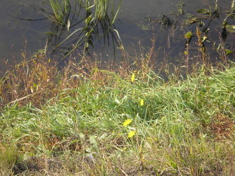 P1010049