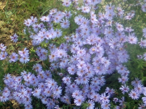 PICT0032