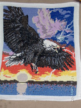 sas 