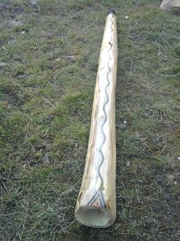 didgeridoo