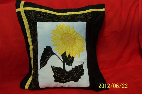 napraforgós20120622 001