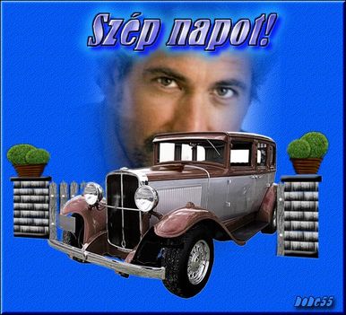 sznautoffid