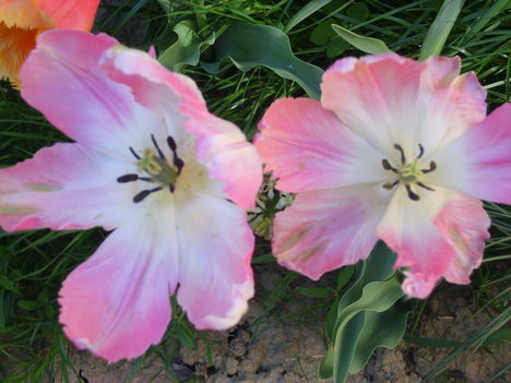 2012.04