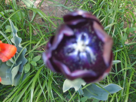2012.04