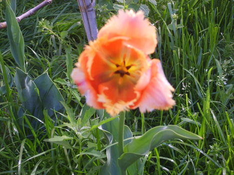 2012.04