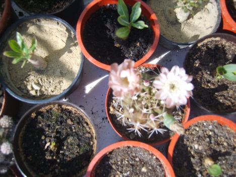 2012.08