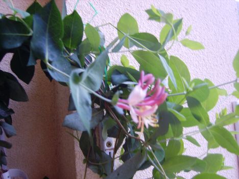2012.08