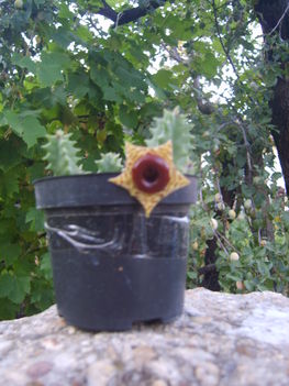 2012.08