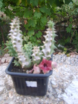 2012.08
