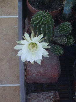 2012.08