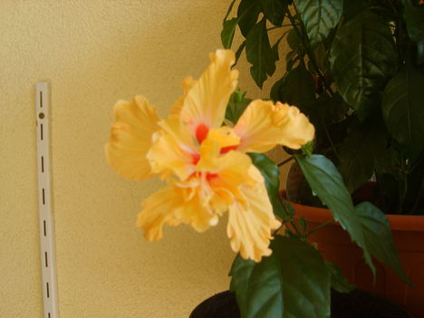 2012.08