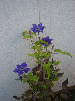 2012.09