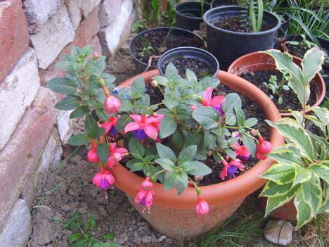 2012.09