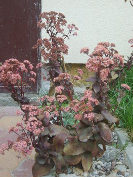 2012.09