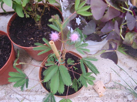 2012.09
