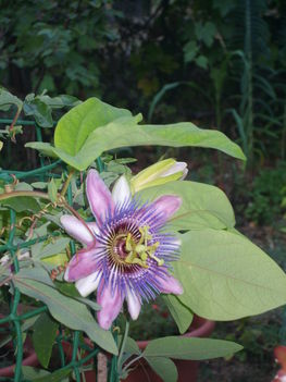 2012.09