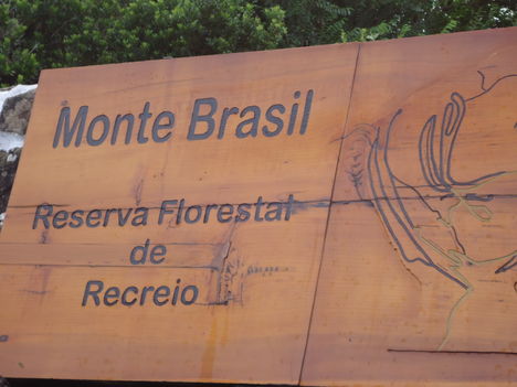 Fenn a Brazil hegyen.