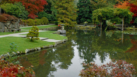 Japánkert őszi színekben (1)